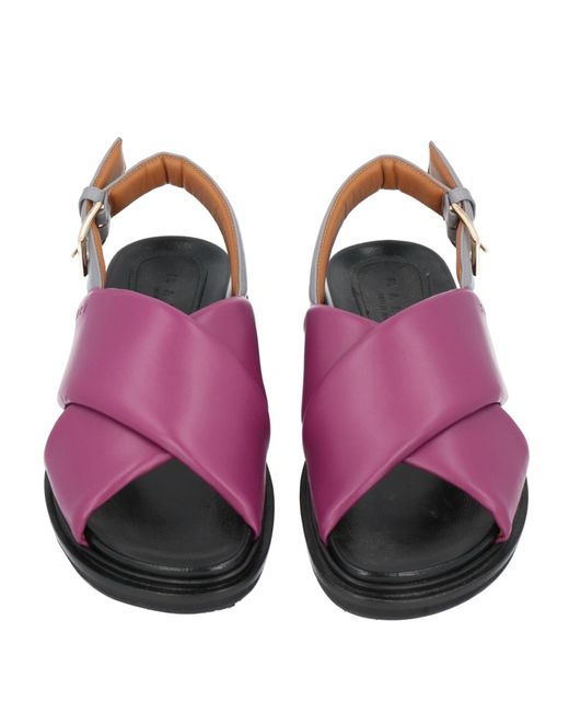 Marni Purple Sandale