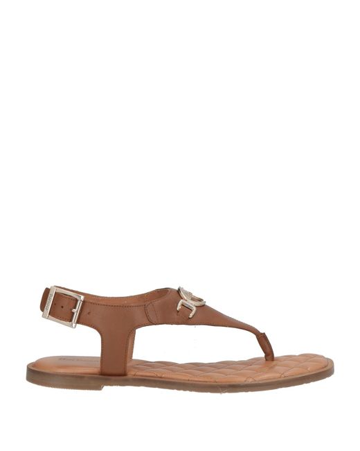 Barbour Brown Thong Sandal Leather for men