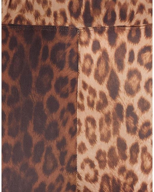 ViCOLO Brown Pants Polyester