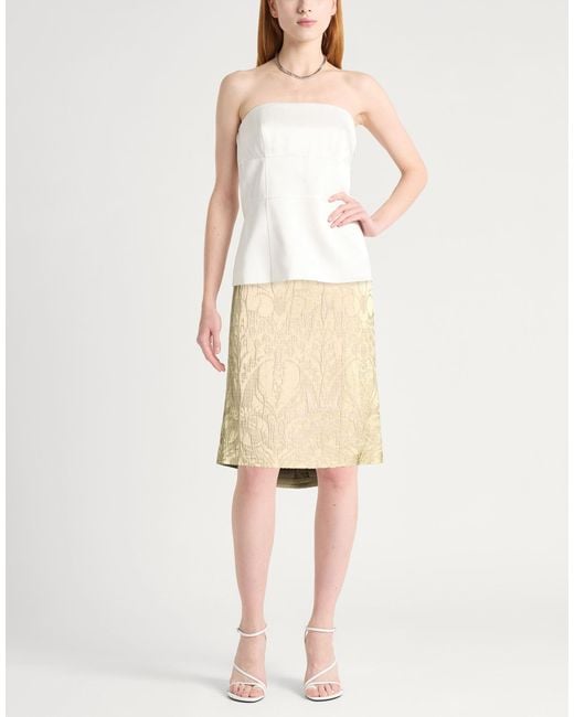 Etro Natural Midi Skirt