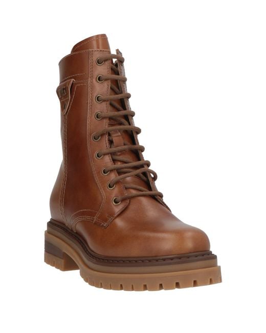 Nero Giardini Brown Ankle Boots