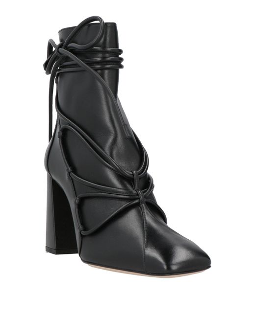 Botines De Caña Alta Sophia Webster de color Black