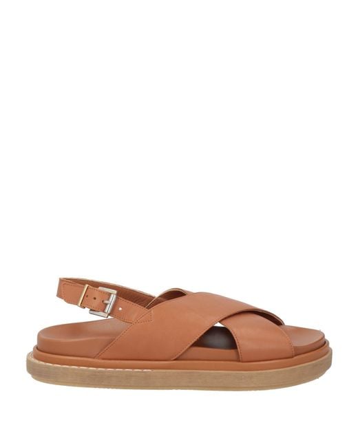 Sandalias Alohas de color Brown
