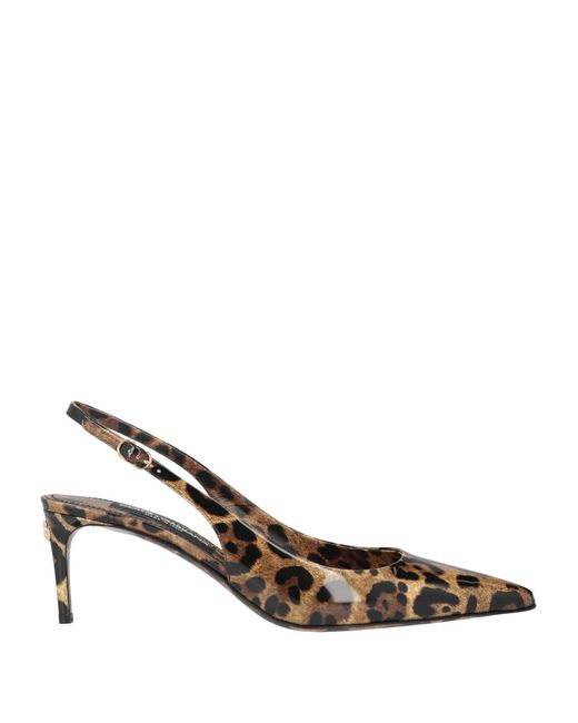 Dolce & Gabbana Brown Pumps Calfskin