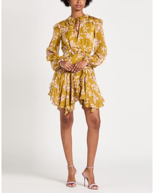 Elisabetta Franchi Metallic Mini Dress Silk