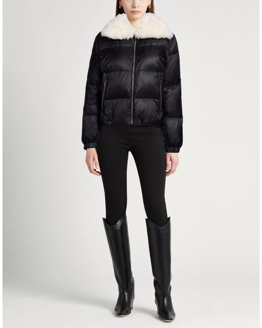 Theory Black Puffers