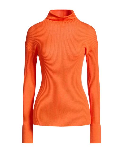 Lis Lareida Orange Turtlenecks