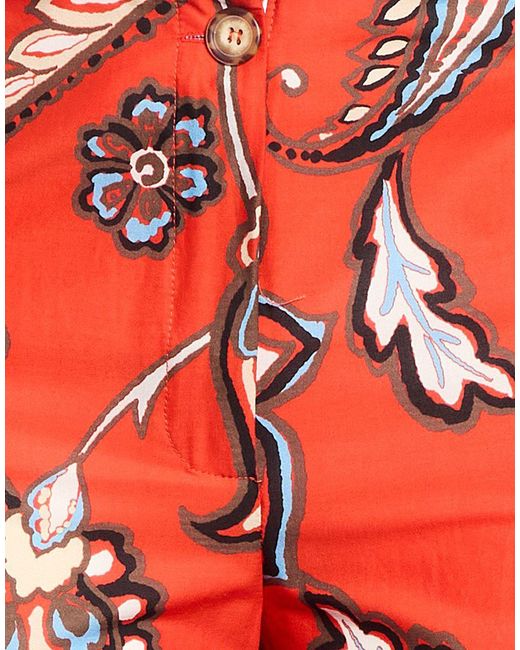B.yu Red Pants Cotton, Elastane