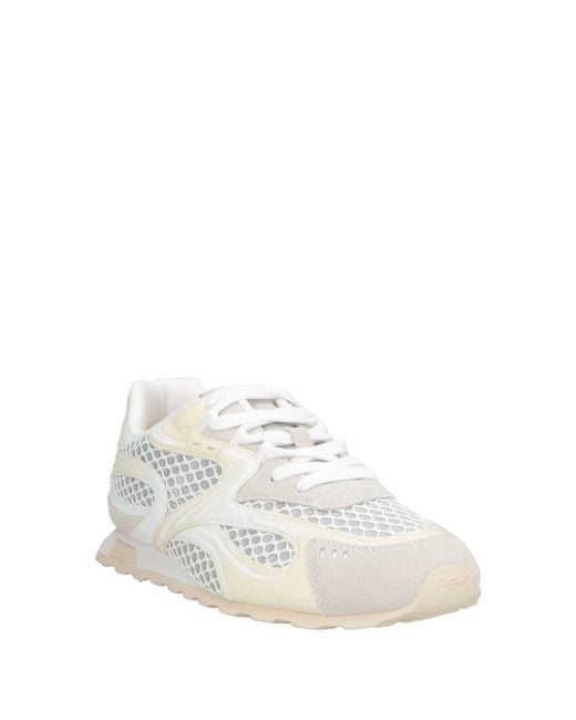 Ash White Trainers
