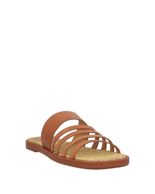 Castaner Brown Sandals