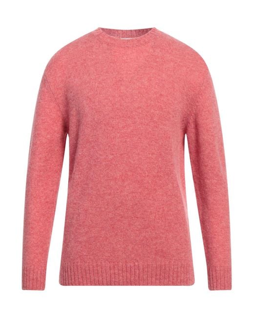 Pullover Bellwood de hombre de color Pink