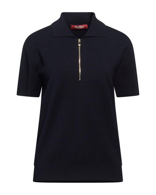Max Mara Blue Pullover