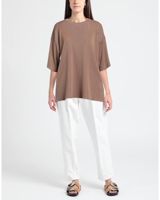 Alpha Studio Brown Sweater Viscose, Polyester