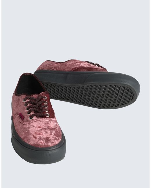 Vans Purple Trainers