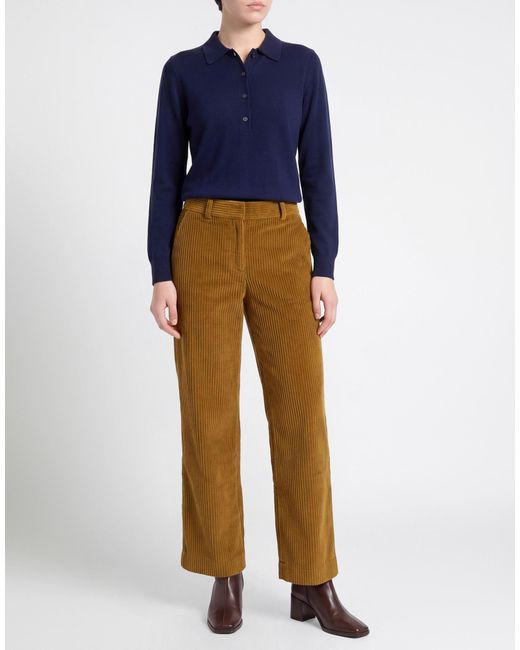 Proenza Schouler Brown Pants Cotton