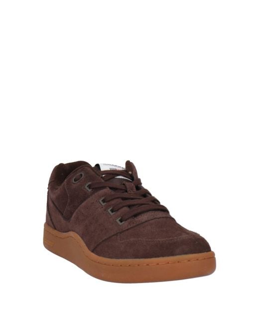 Sebago Brown Dark Sneakers Leather