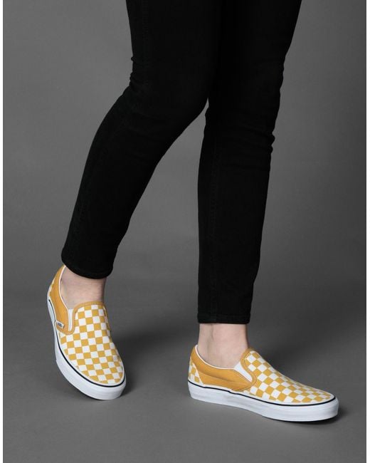 multicolor low top vans