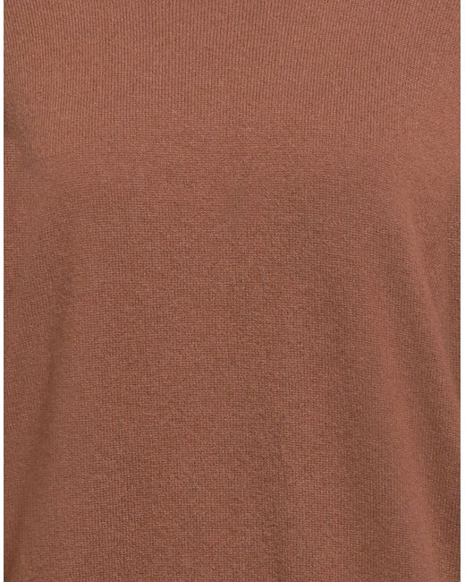 Alpha Studio Brown Sweater