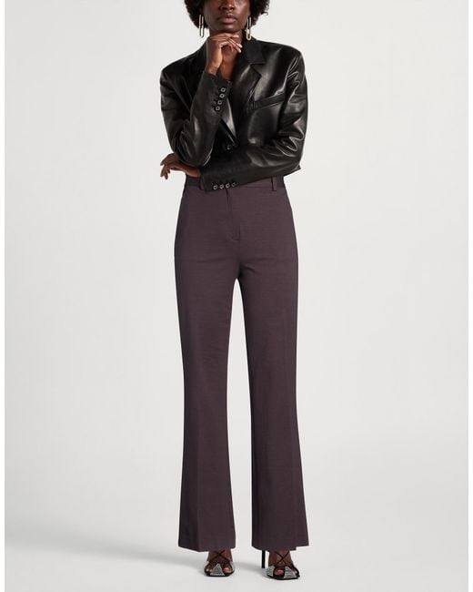 Circolo 1901 Purple Trouser