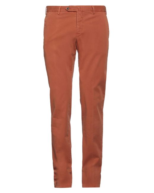 PT Torino Brown Trouser for men