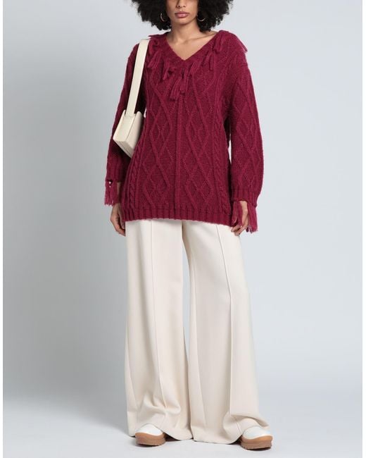Pink Memories Red Sweater