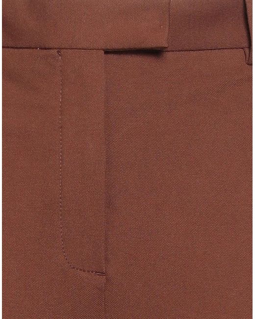 Circolo 1901 Brown Trouser