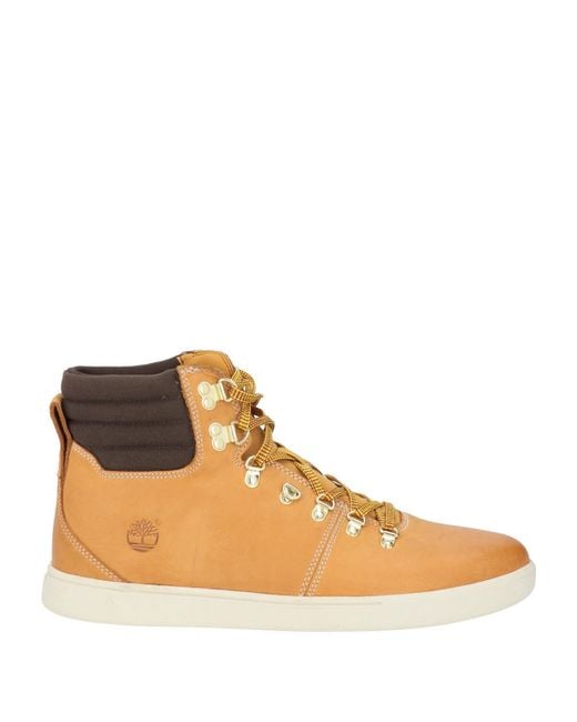 Timberland Brown Ankle Boots for men