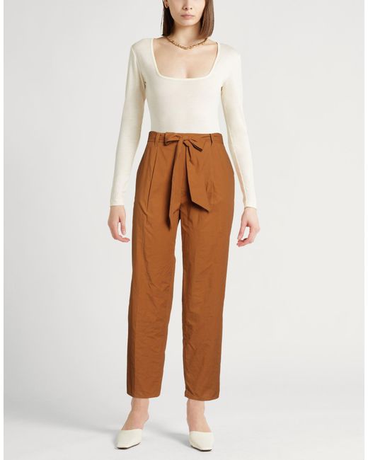 Antonelli Brown Pants Cotton