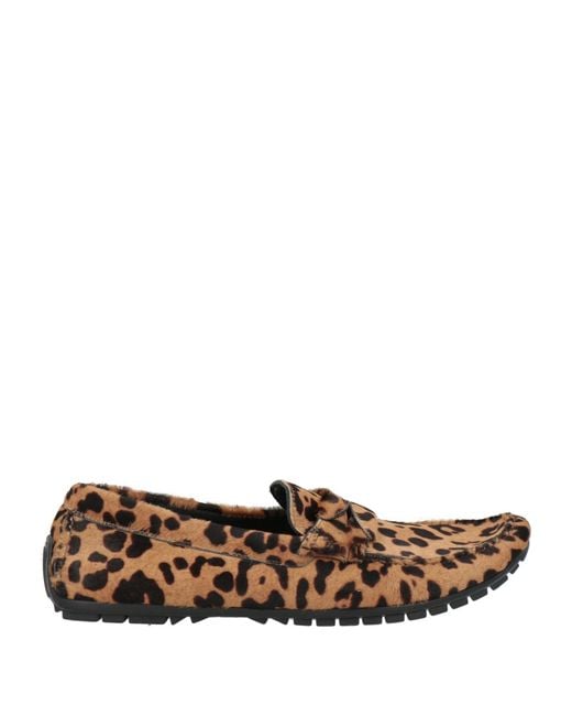 Dolce & Gabbana Brown Loafers Calfskin for men