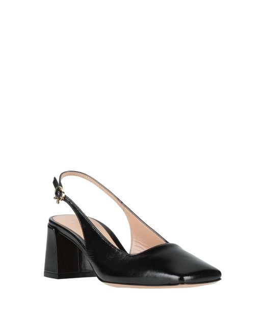 Gianvito Rossi Black Pumps Leather