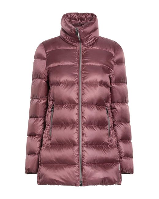 Jan Mayen Purple Puffer