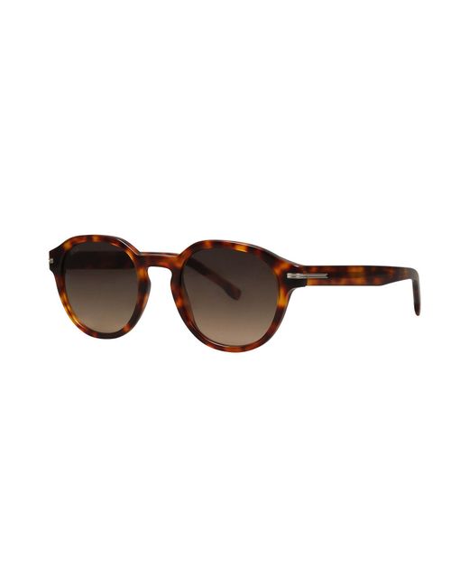 Boss Brown Sunglasses for men