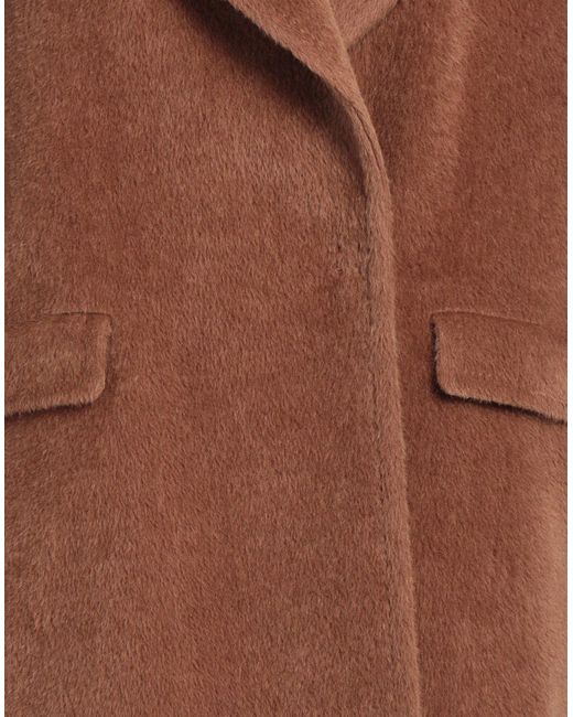 Tagliatore 0205 Brown Mantel