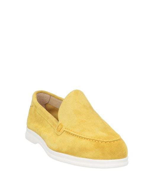 Doucal's Yellow Mokassin