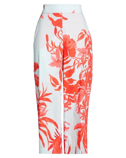 Clips Red Pants