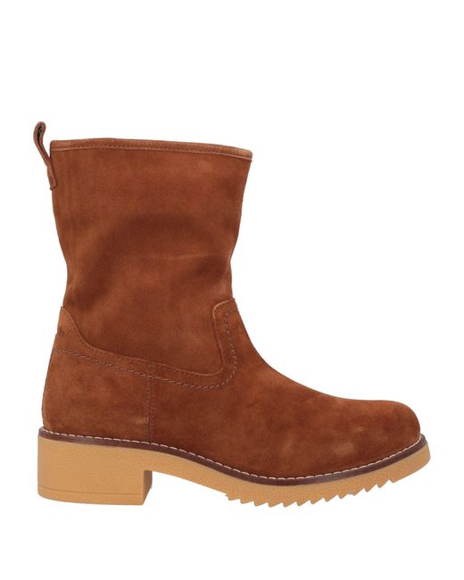 Stivaletti di Clarks in Brown