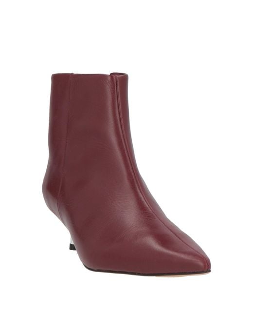 Carrano Purple Ankle Boots