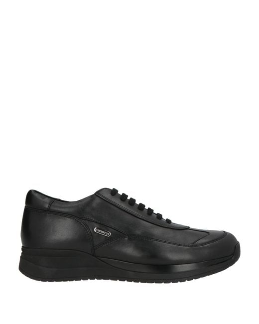 Cesare Paciotti Black Trainers for men