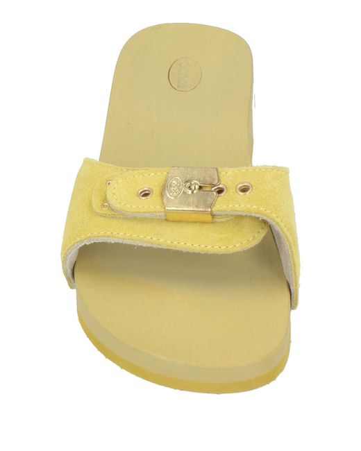 Scholl Yellow Mules & Clogs
