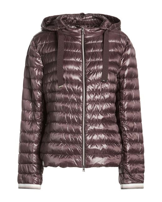 Herno Brown Puffer Polyamide