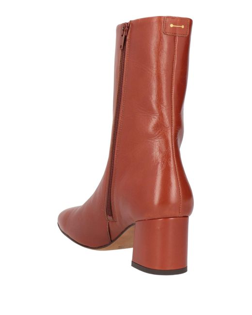 Anthology Brown Ankle Boots