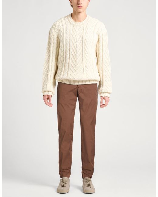PT Torino Brown Pants for men