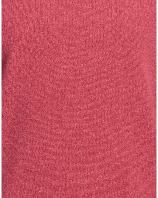 Altea Purple Jumper for men
