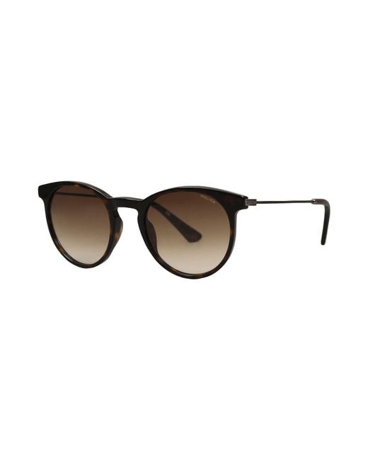 Police Brown Sunglasses for men
