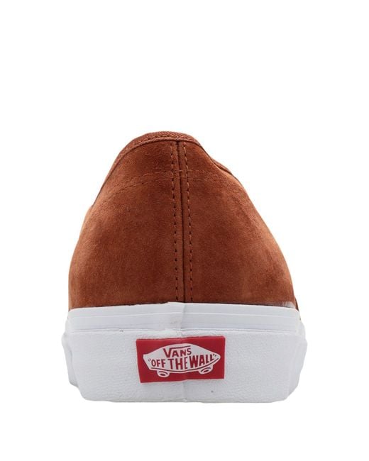 vans basse marroni