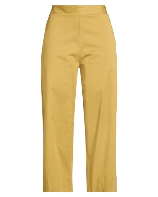 Alpha Studio Yellow Trouser