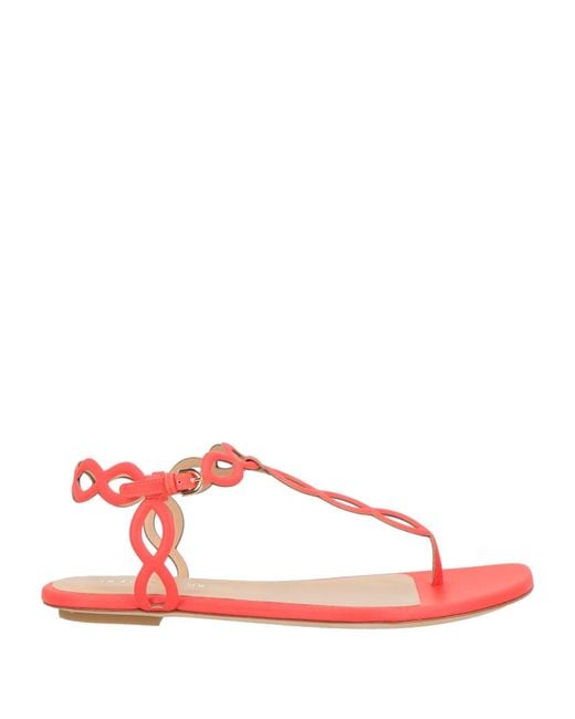 Sergio Rossi Red Thong Sandal Leather