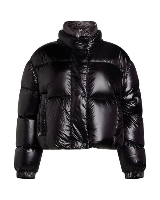 Add Black Puffers