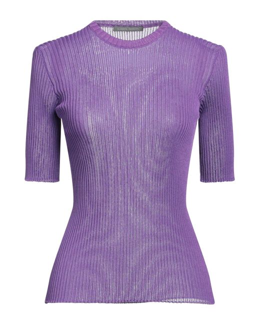 Alberta Ferretti Purple Sweater