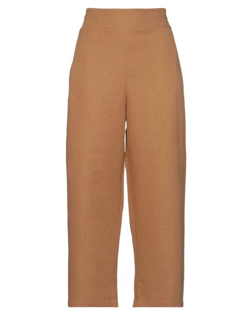 Alpha Studio Brown Pants
